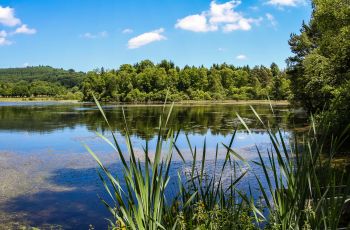 St Hilaire les Courbes