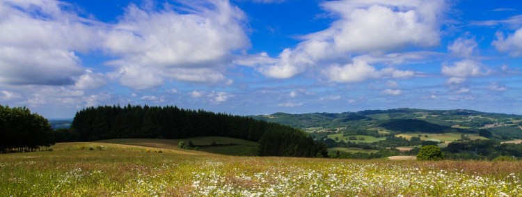 chamberet_mont_gargan