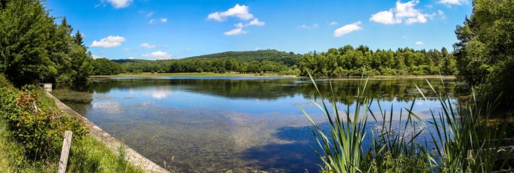 saint-hilaire-les-courbes_2