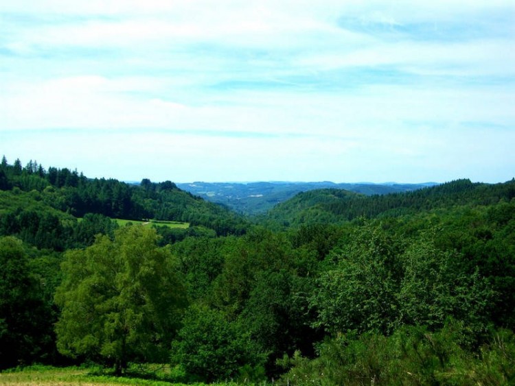 leglise-aux-bois_prabonnaud